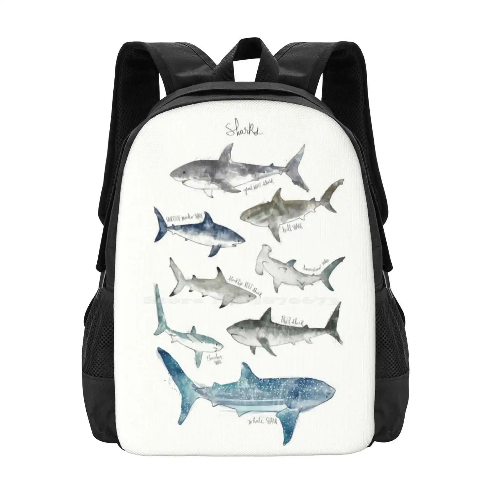 Школьная сумка Sharks Рюкзак большой емкости для ноутбука Sharks Ocean Sea Природа Животные Дикая природа Фауна Существо Большое Белое Короткопалое